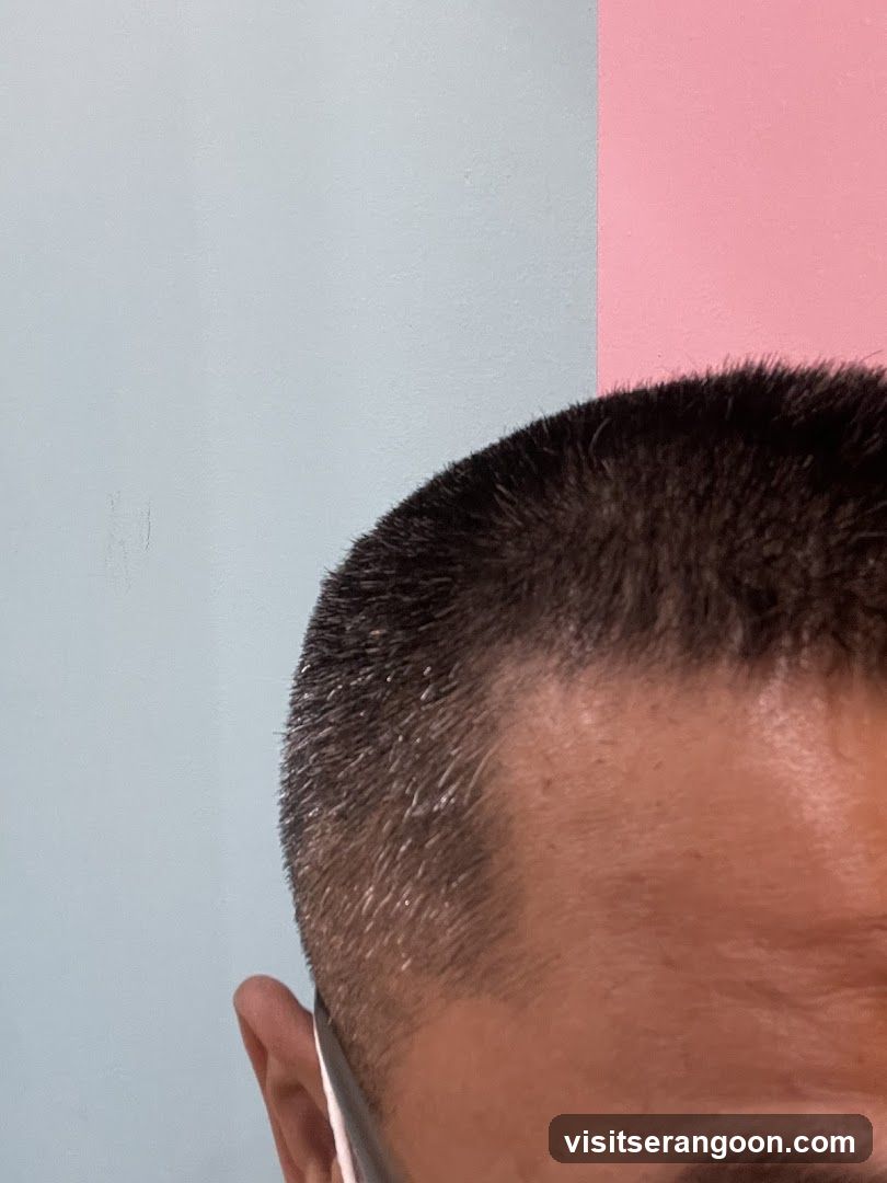 Close-up of a person's head