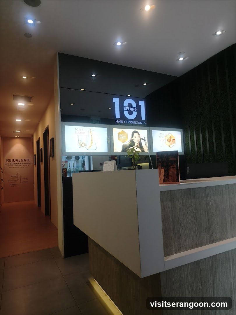 Beijing 101 Hair Consultants (Nex)