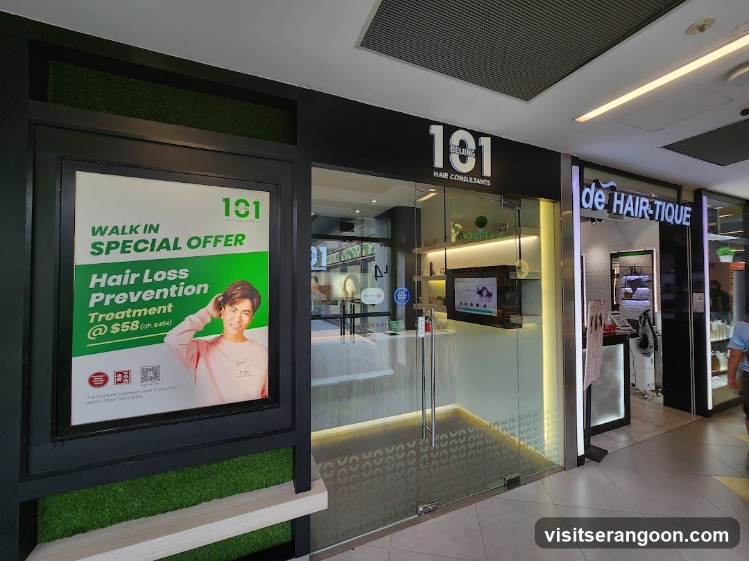 Beijing 101 Hair Consultants (Nex)