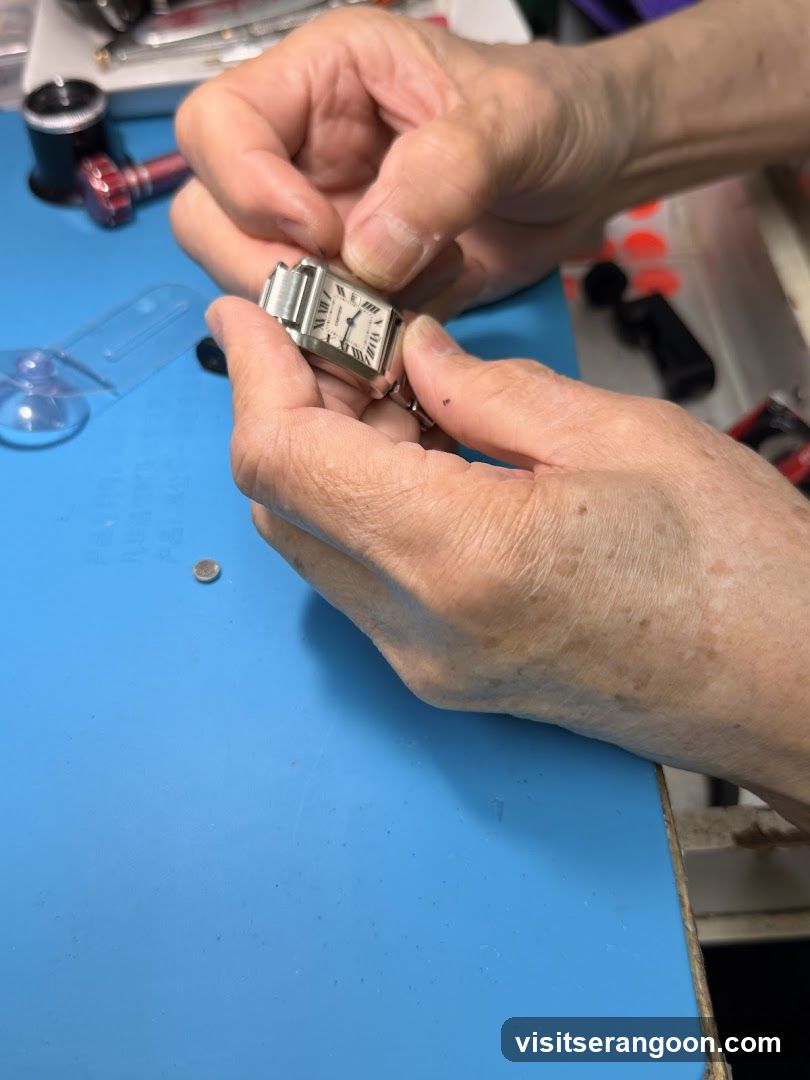 Lee Seo Choon Watch Dealer