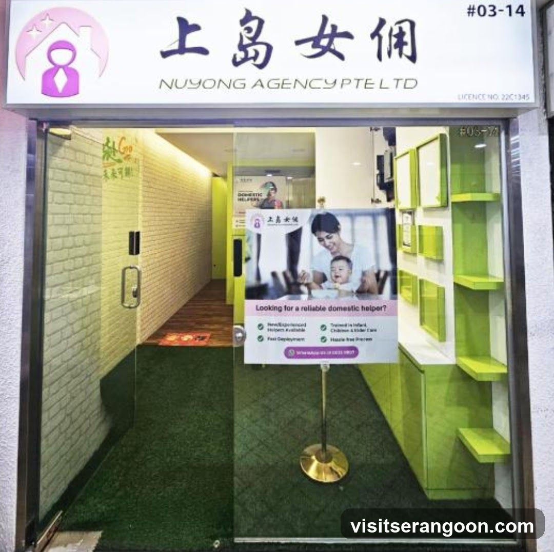 上岛女佣 Nuyong Agency Pte Ltd