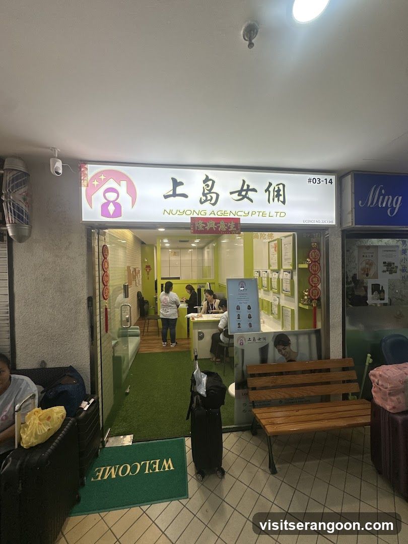 上岛女佣 Nuyong Agency Pte Ltd