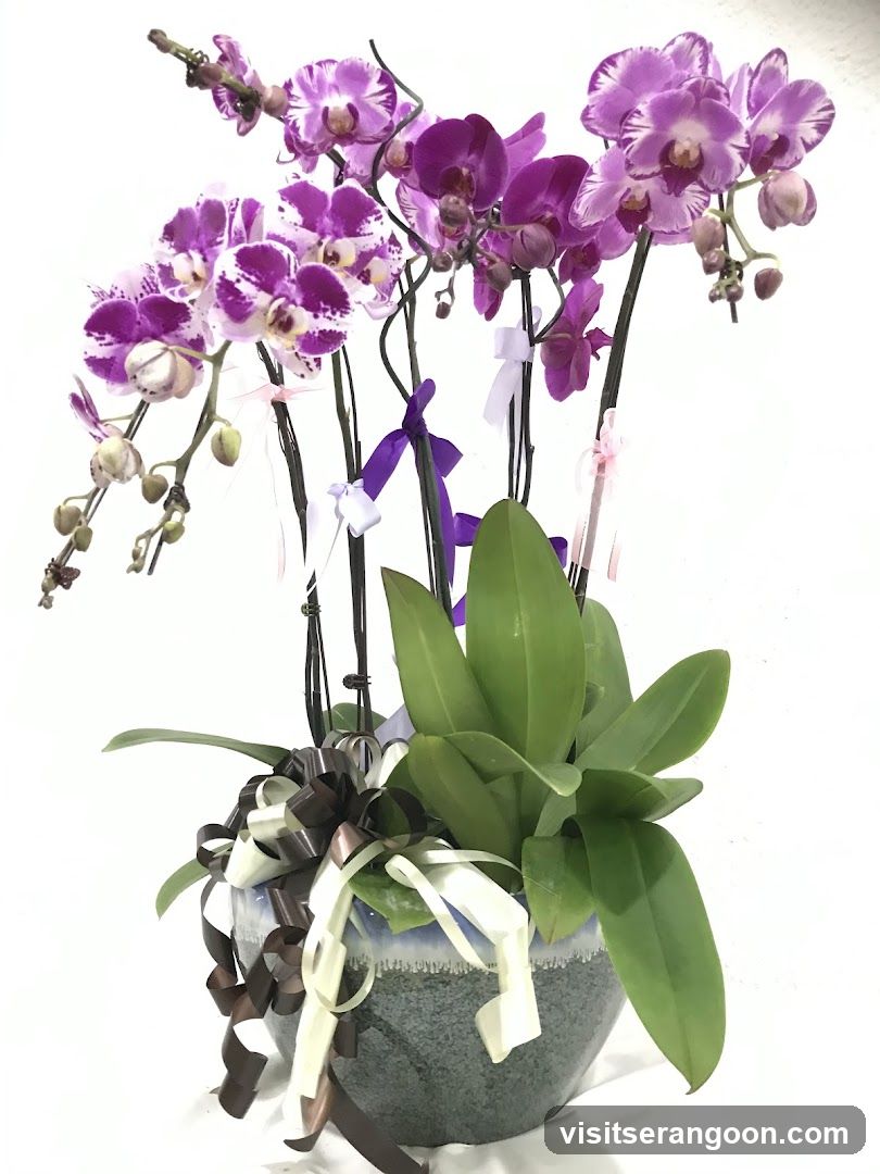 Christanio de Florist