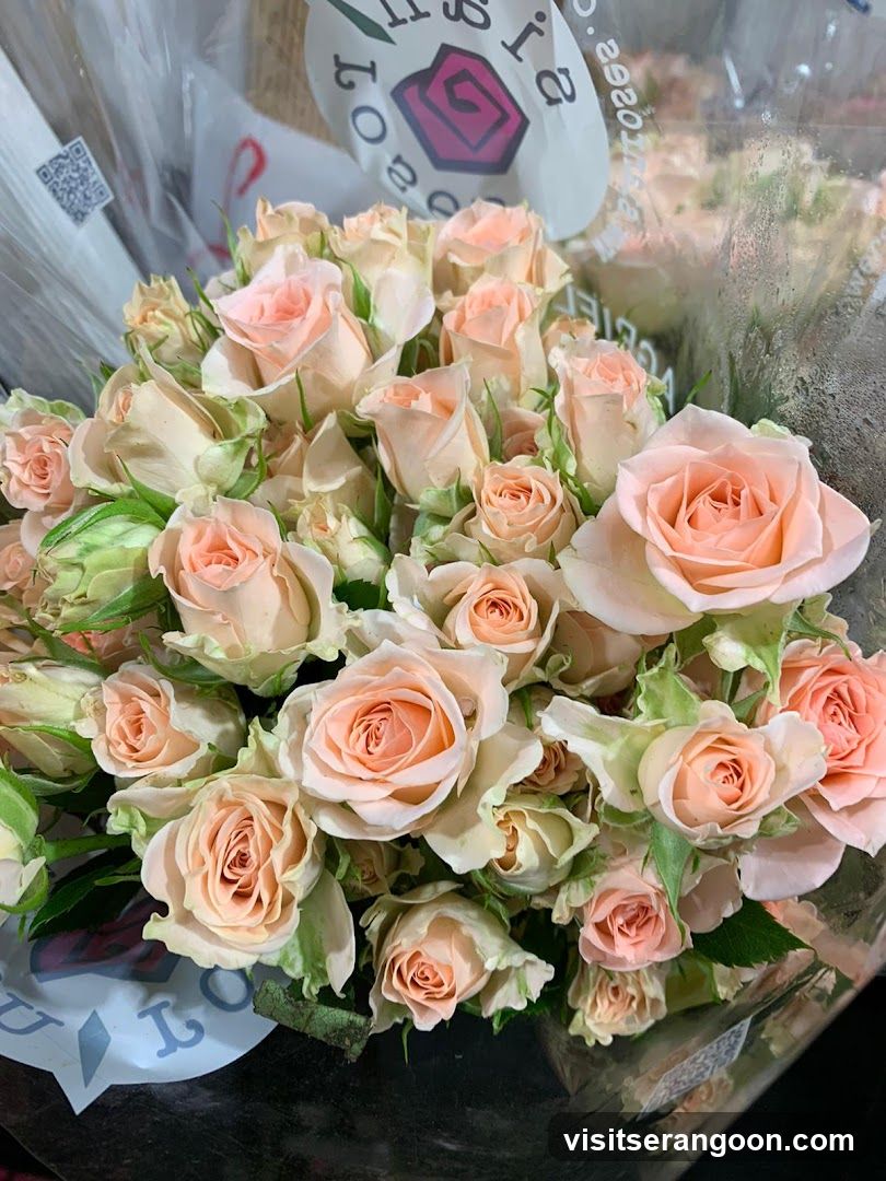 Christanio de Florist