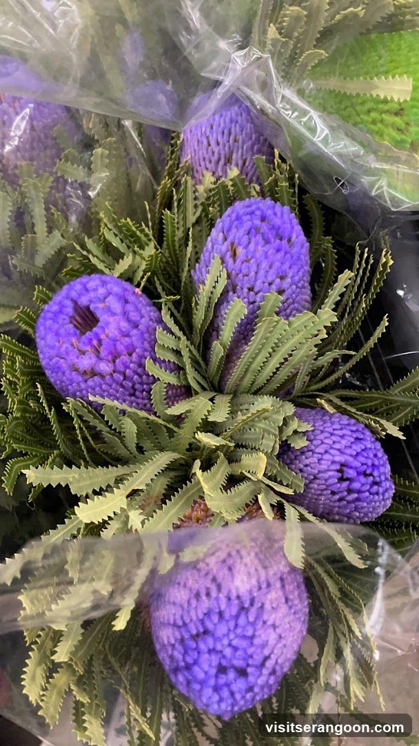 Christanio de Florist
