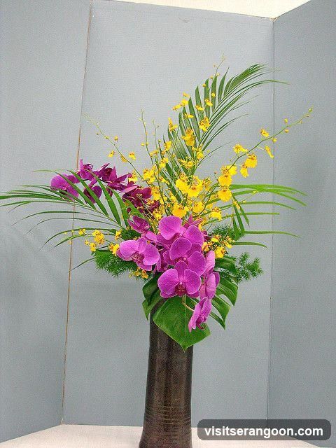 Christanio de Florist