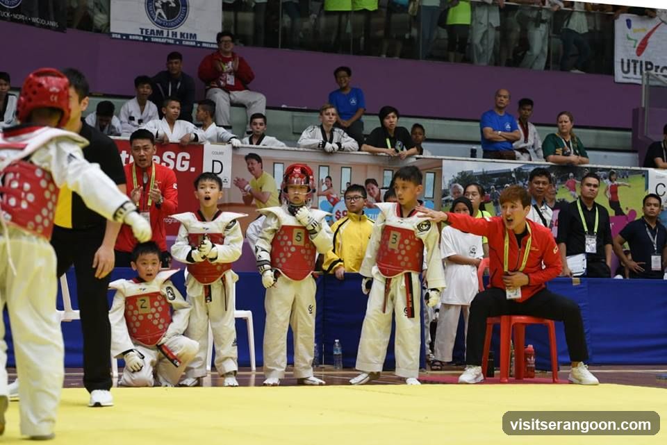 Johan Taekwondo Institute - Kovan