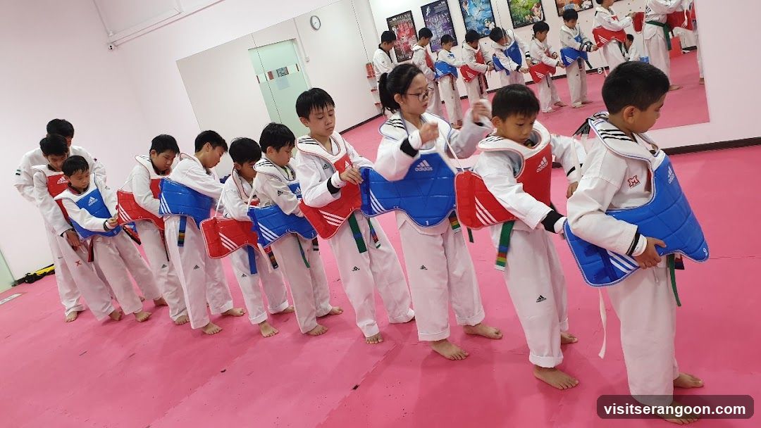 Johan Taekwondo Institute - Kovan