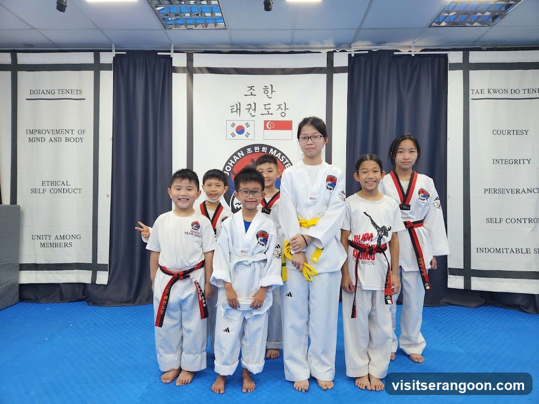 Johan Taekwondo Institute - Kovan