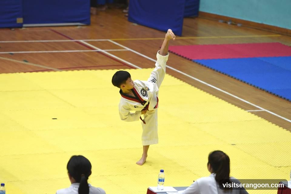 Johan Taekwondo Institute - Kovan