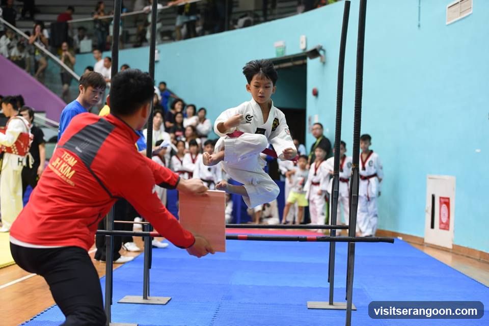 Johan Taekwondo Institute - Kovan
