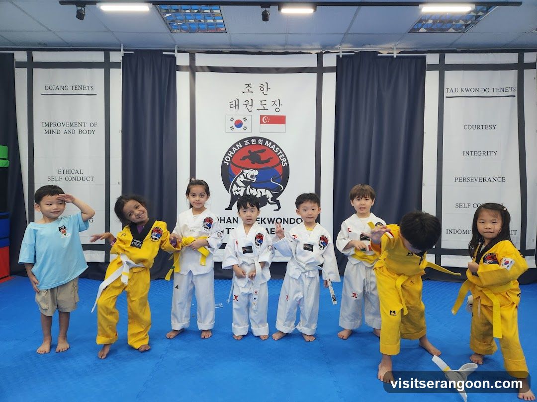 Johan Taekwondo Institute - Kovan