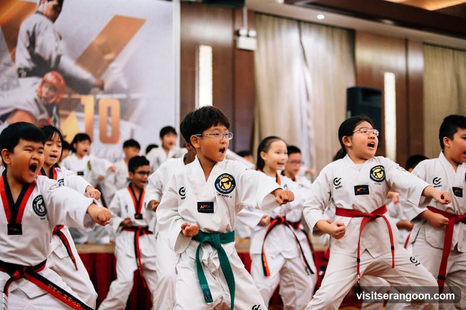 Johan Taekwondo Institute - Kovan