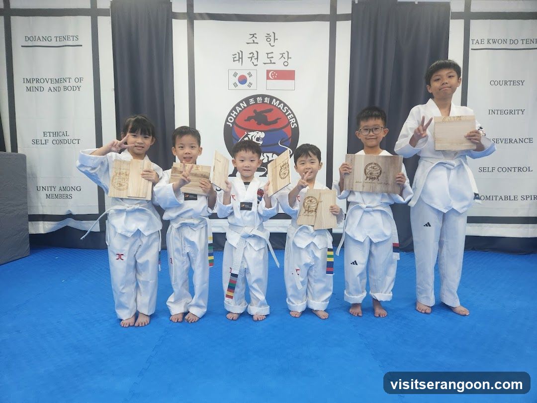 Johan Taekwondo Institute - Kovan