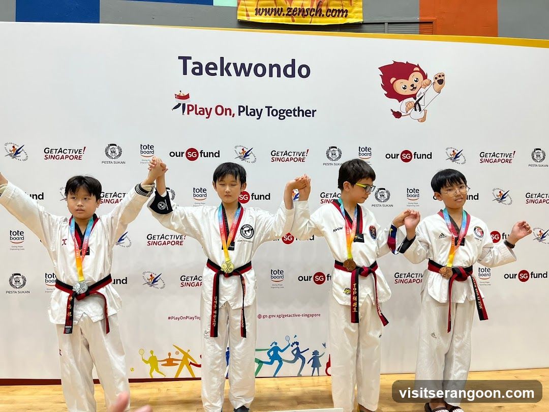 Johan Taekwondo Institute - Kovan