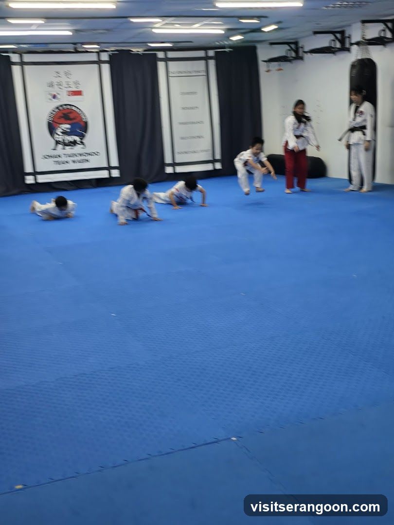 Johan Taekwondo Institute - Kovan