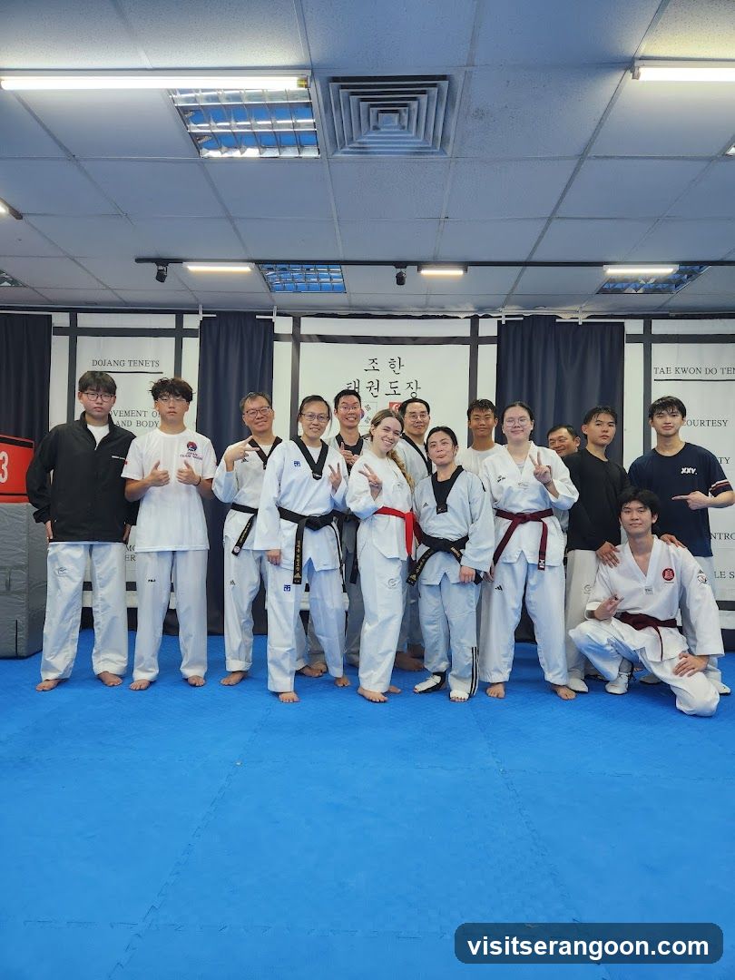 Johan Taekwondo Institute - Kovan