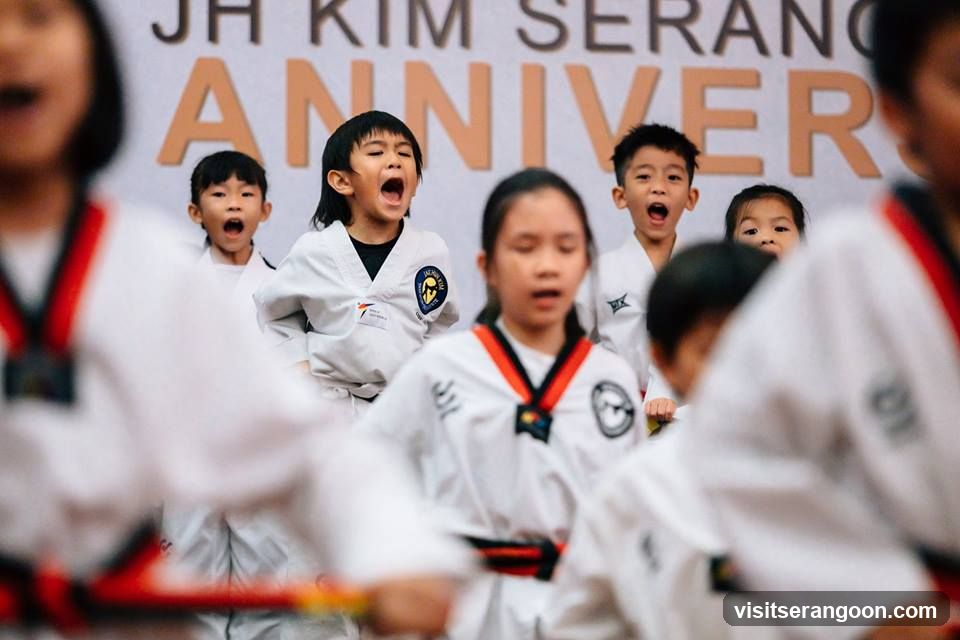 Johan Taekwondo Institute - Kovan