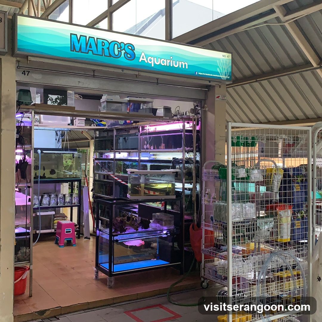 Marc's Aquarium