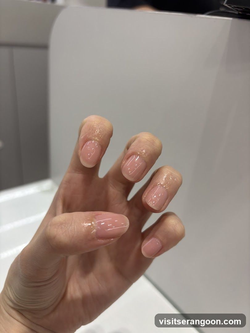 The Nail Artistry (Serangoon Gardens)