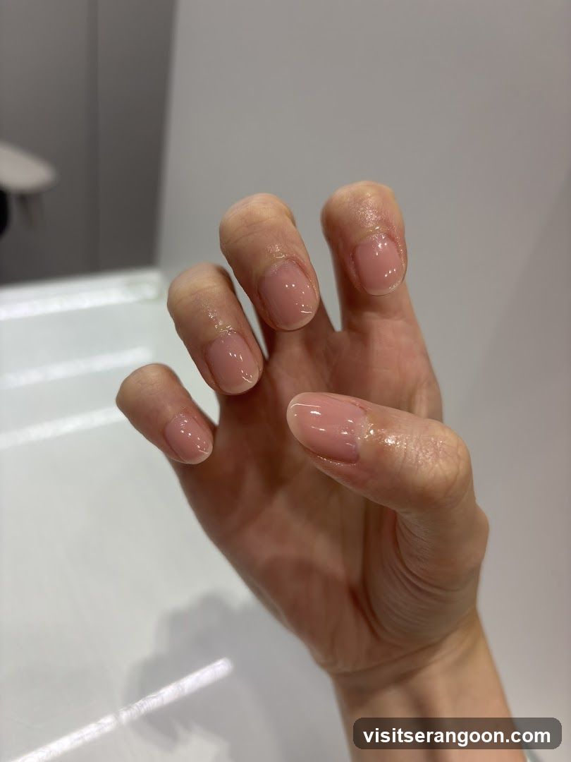 The Nail Artistry (Serangoon Gardens)