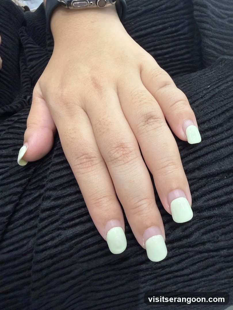 The Nail Artistry (Serangoon Gardens)