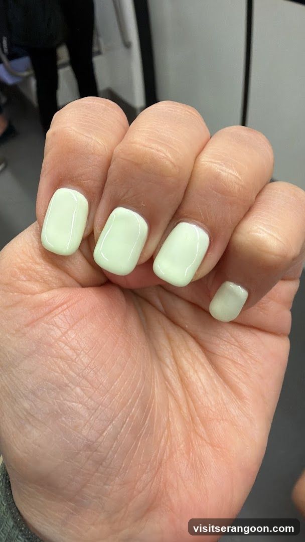 The Nail Artistry (Serangoon Gardens)