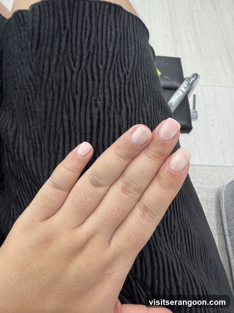 The Nail Artistry (Serangoon Gardens)