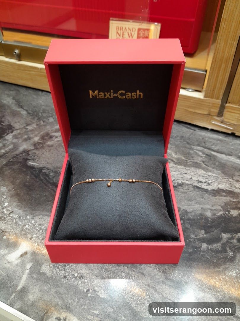 Maxi-Cash (NEX Serangoon)