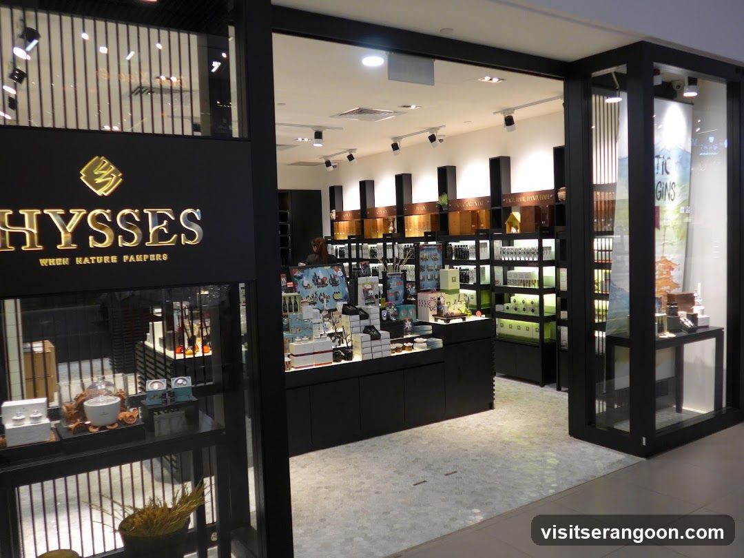 HYSSES -Diffuser Singapore