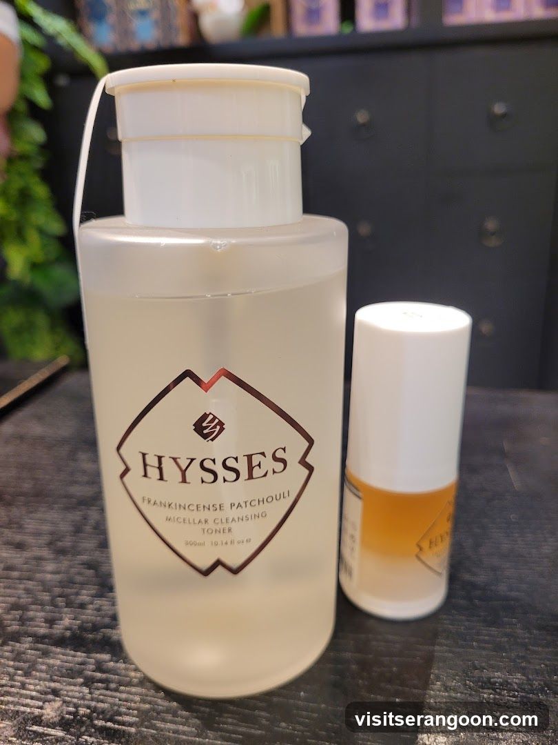 HYSSES -Diffuser Singapore