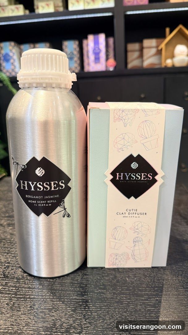 HYSSES -Diffuser Singapore
