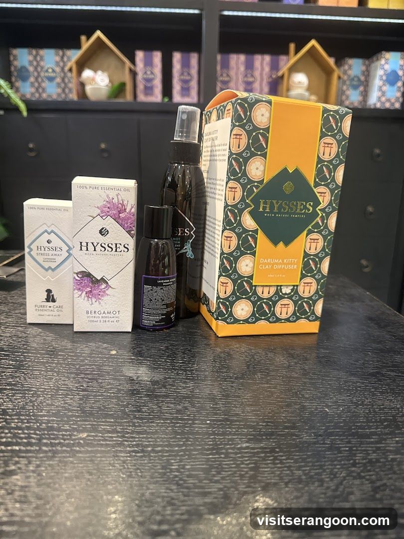 HYSSES -Diffuser Singapore