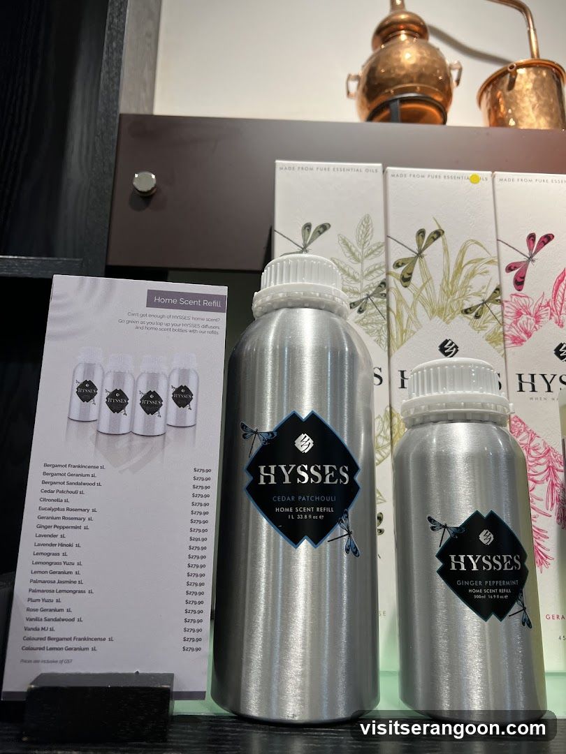 HYSSES -Diffuser Singapore