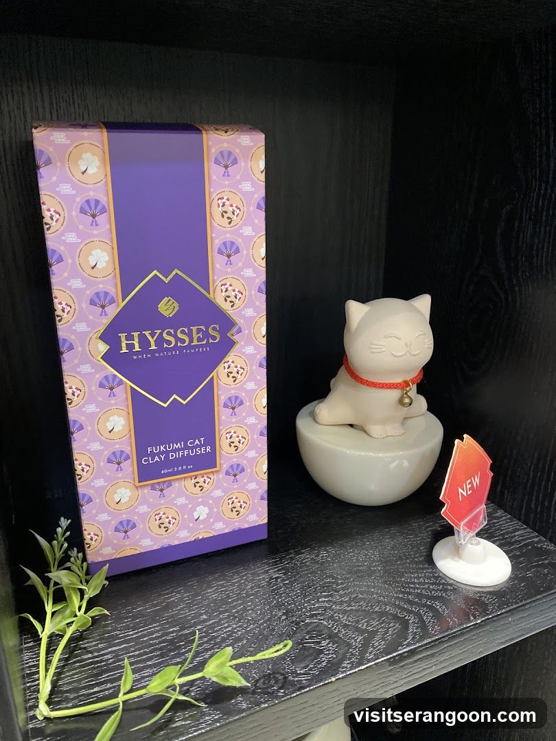 HYSSES -Diffuser Singapore