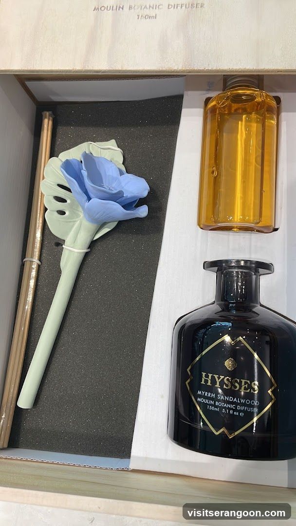 HYSSES -Diffuser Singapore