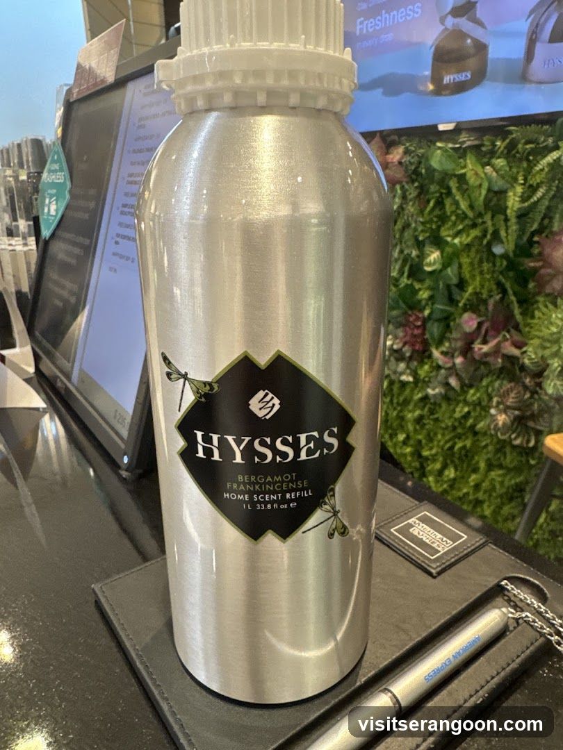 HYSSES -Diffuser Singapore