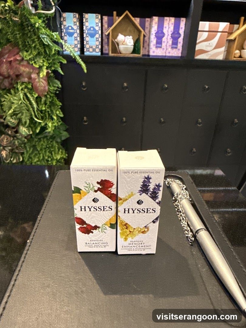 HYSSES -Diffuser Singapore