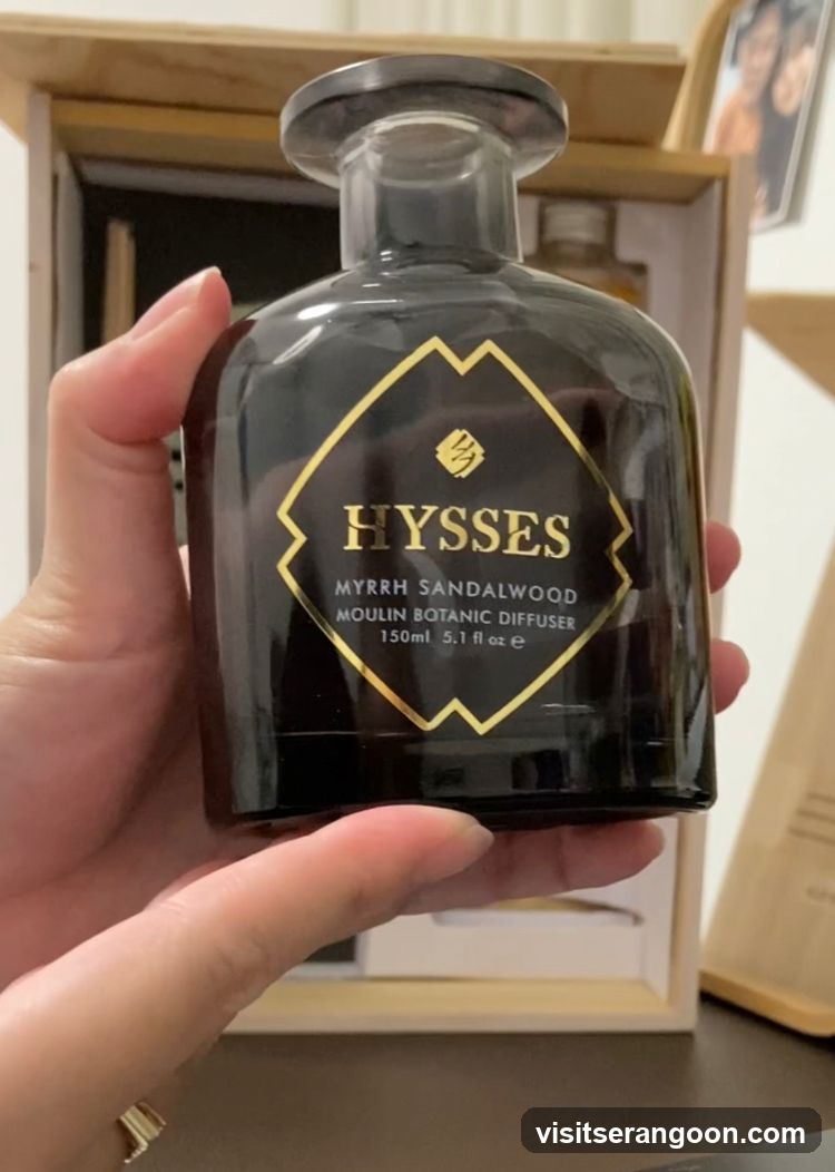 HYSSES -Diffuser Singapore