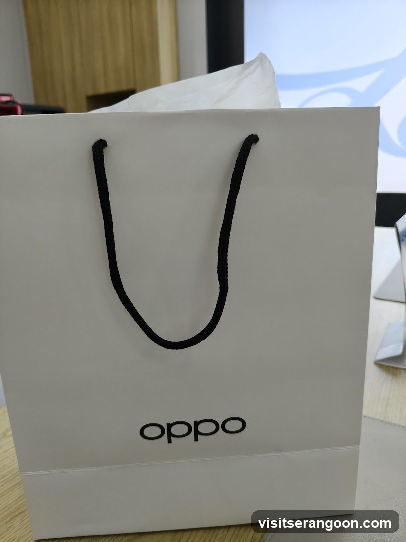 OPPO Concept Store - NEX