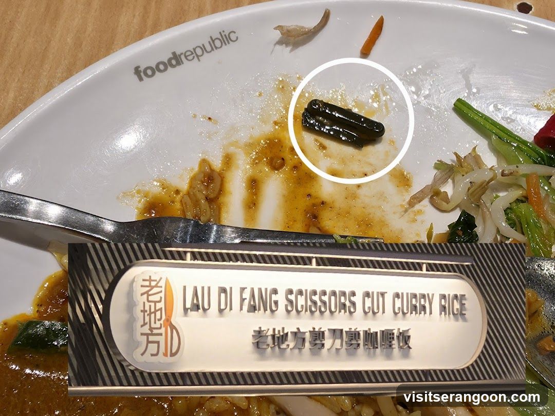 Lau Di Fang Scissors Cut Curry Rice (Food Republic - NEX)