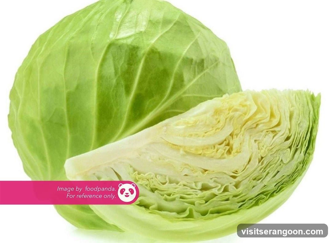 Lau Di Fang Scissors Cut Curry Rice (Food Republic - NEX)