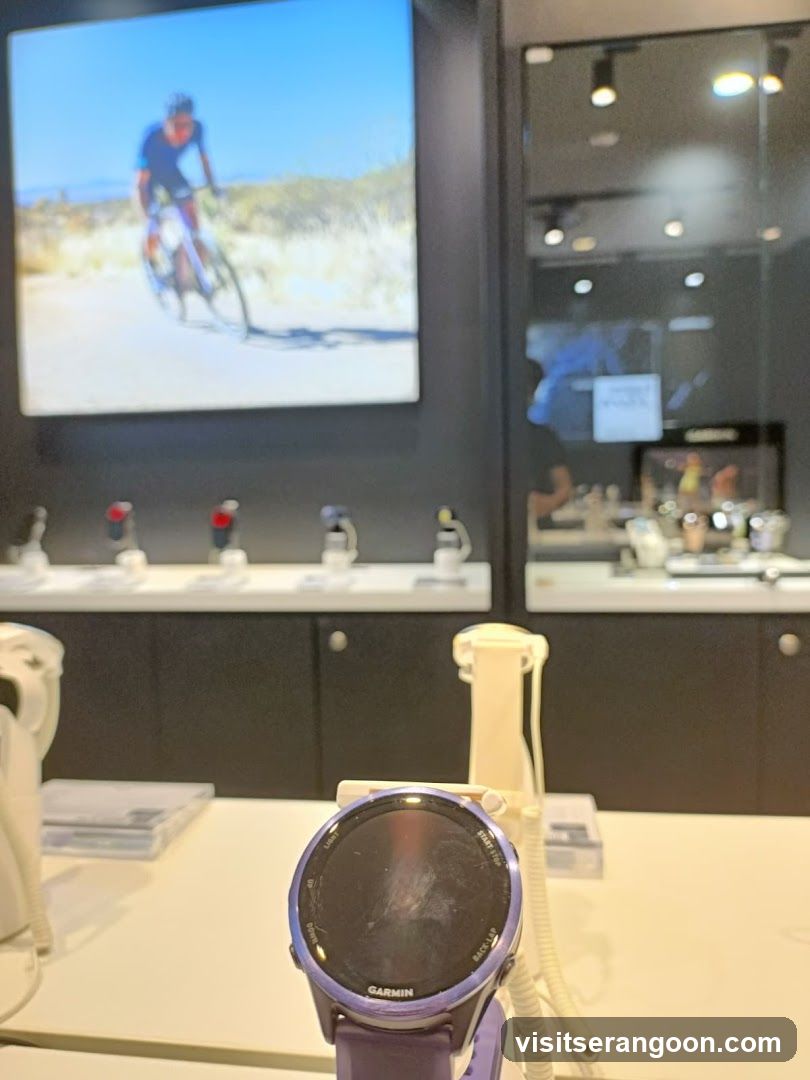 Garmin Brand Store - NEX