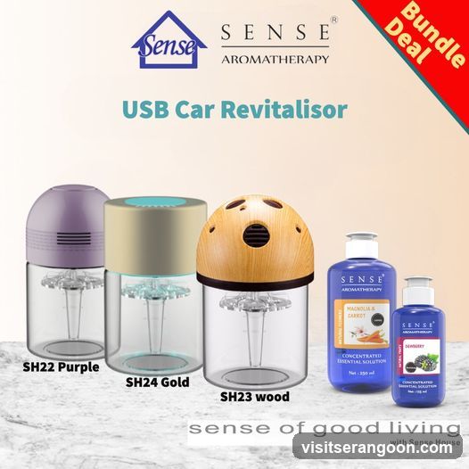 The Sense House