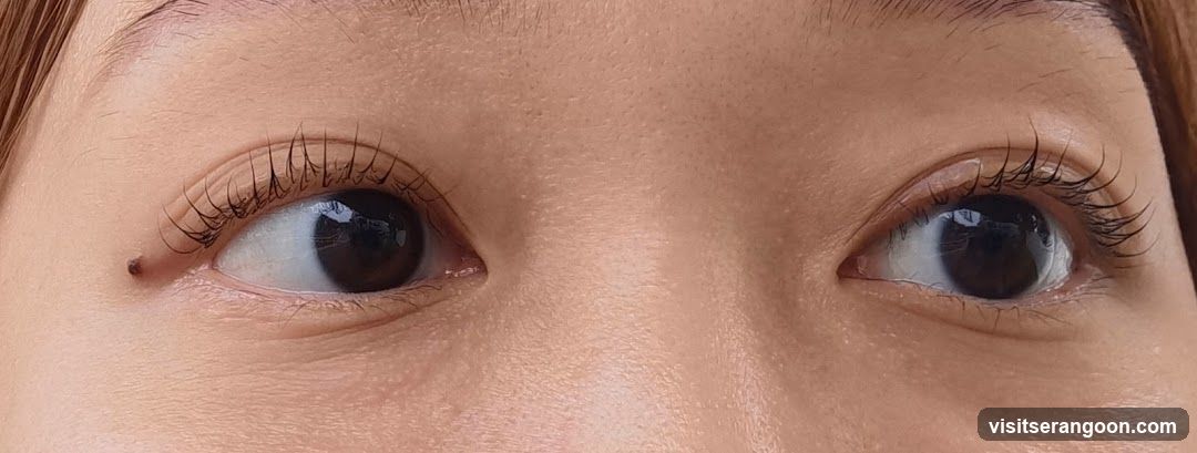 Perky Lash - Eyelash Extension Serangoon Nex