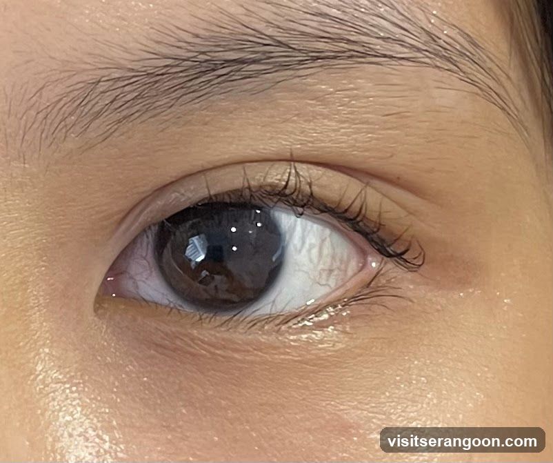 Perky Lash - Eyelash Extension Serangoon Nex