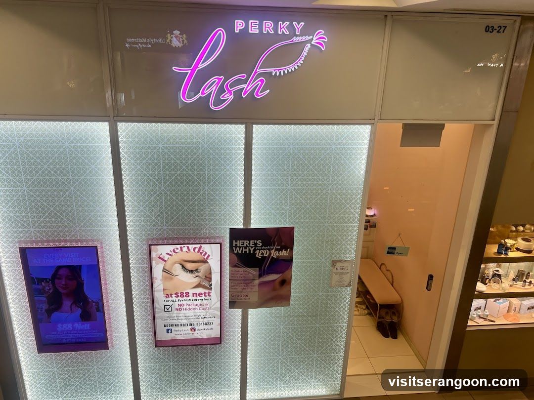 Perky Lash - Eyelash Extension Serangoon Nex