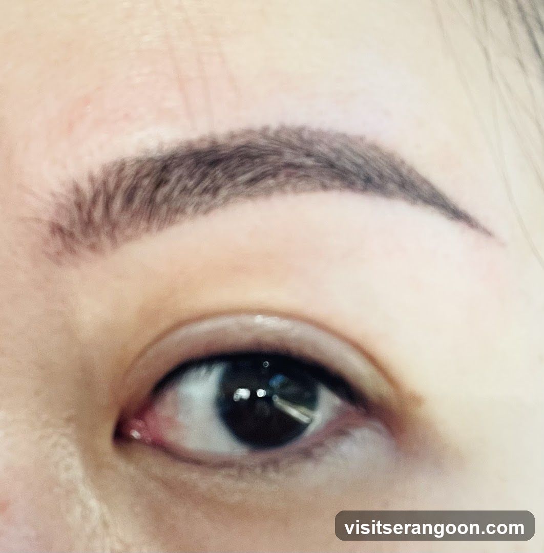 Perky Lash - Eyelash Extension Serangoon Nex