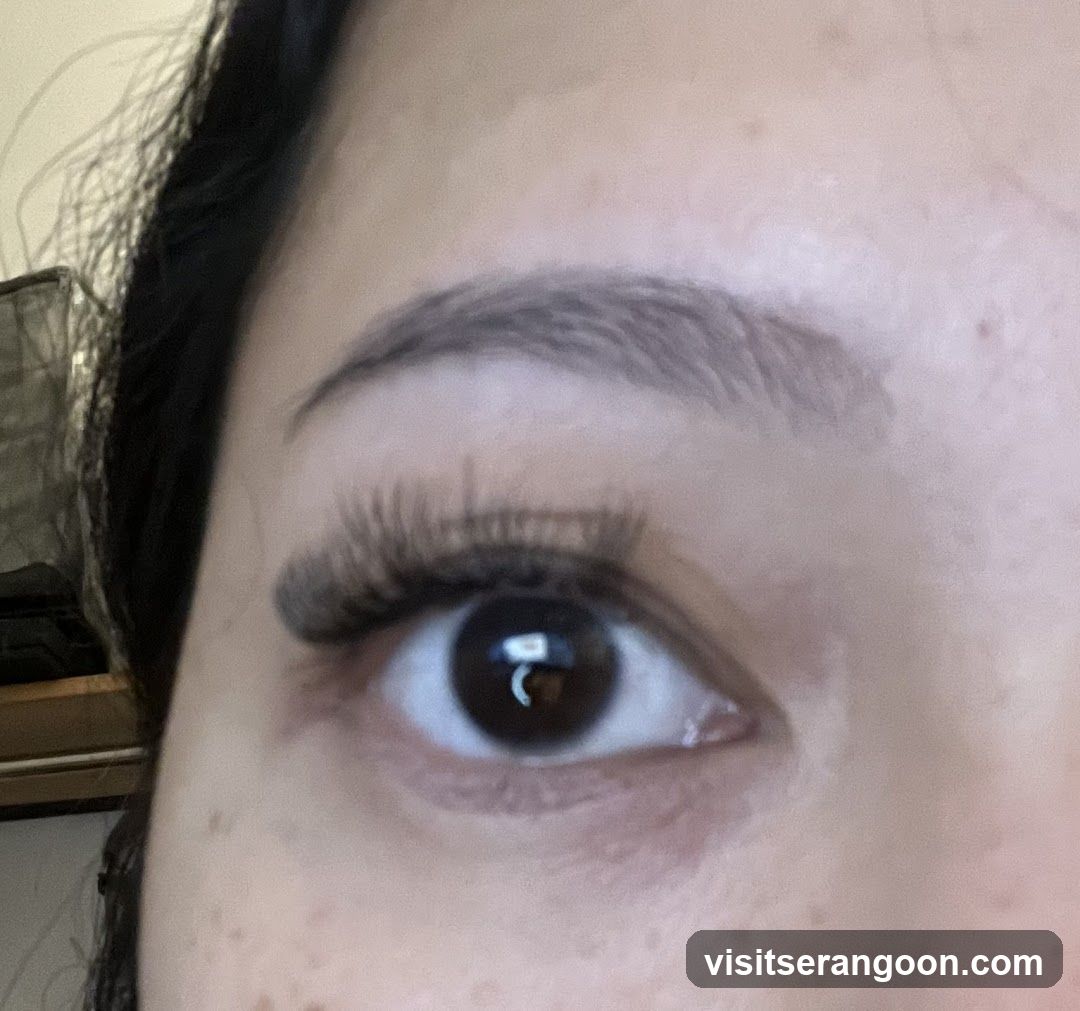 Perky Lash - Eyelash Extension Serangoon Nex