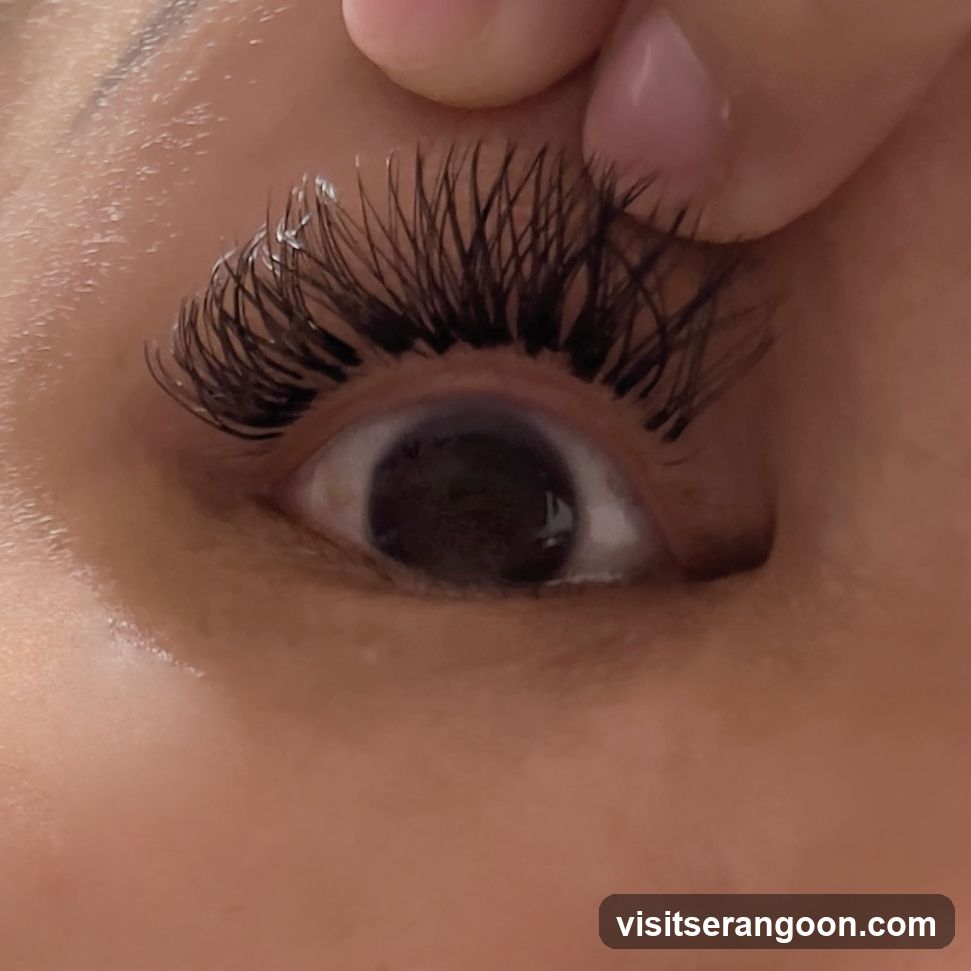 Perky Lash - Eyelash Extension Serangoon Nex
